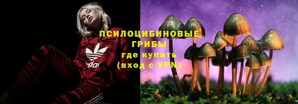 не бодяженный Нефтекумск