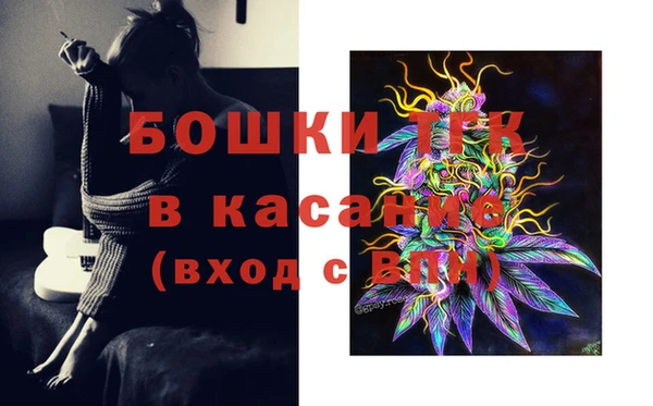 дурь Нея
